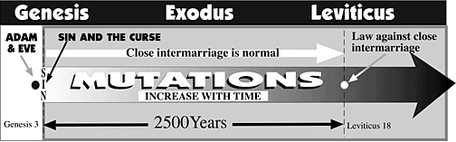 Intermarriage timeline